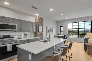 Central Downtown Asheville Luxe Condo - Asheville - 3