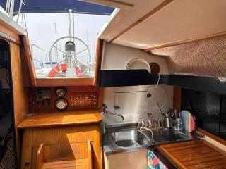 Velero Draco - 4