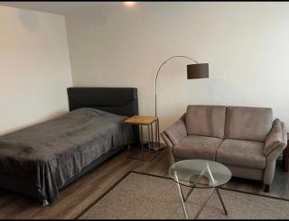 Top ausgestattete 1 Zi-Whg für Urlaub u Dienstreisen - 9