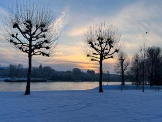 Living Lu - cosy Apartment one - Netflix - Mannheim - BASF - 1 Zimmer - Ludwigshafen am Rhein - 4