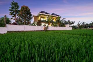 Didori Art Villa - serene view of green and sunset - Ubud - 2