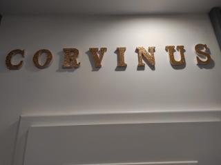 Corvinus Debrecen - Debrecen - 2