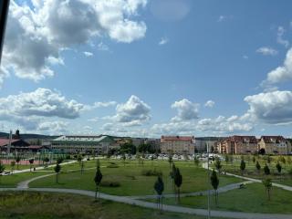 Studio Green - Świebodzice - 9