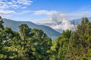 Little Bear Lodge, 3BR2BA private cabin in Cosby, TN Gorgeous outdoor space, fire pit, hot tub - 9