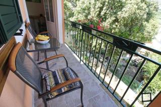 LILY's Peaceful Oasis- BRAND NEW - Korita - 8