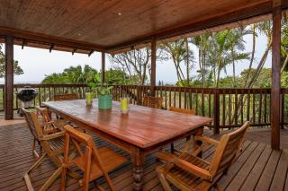 Palm Beach House- Up in the trees - Palm Beach - 6