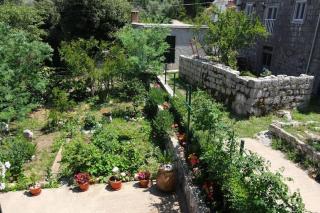 Baldo's Happy Garden- BRAND NEW - Korita - 8