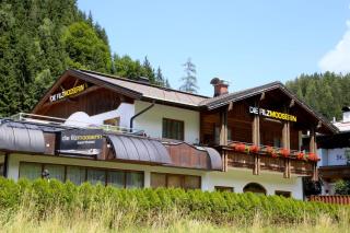 Die Filzmooserin Apartments - Filzmoos - 2