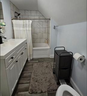 Homestay w Zuku the Cat - 10 mins from downtown, 20 from airport - Indianápolis - 3