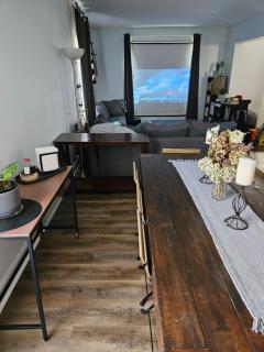 Homestay w Zuku the Cat - 10 mins from downtown, 20 from airport - 4