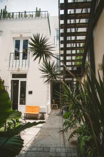 Exclusive Oasis In Roma Norte W Rooftop 8br 85ba - Città del Messico - 3