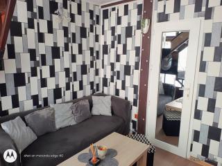 elefant - Baia Mare - 9
