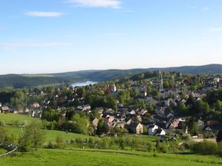 Apartment in Eibenstock - Eibenstock - 7