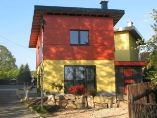 Apartment in Eibenstock - Eibenstock - 5