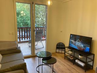 Appartement ALBIGNY Centre Lac Annecy - Annecy - 6