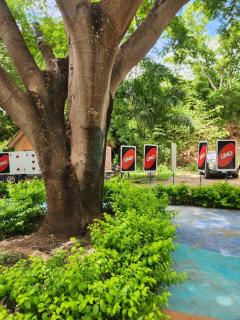 Wally World Inn - Comayagua - 7