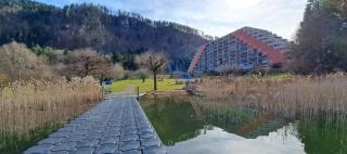 Direkter Seezugang am Ossiacher See, Radfahren, Wandern & Erlebniscard - Villach - 9