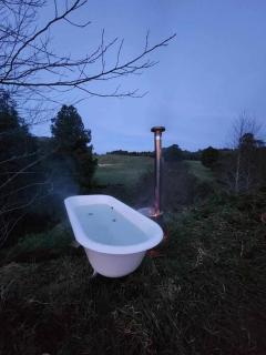 The Rimu Hut - Off-grid Luxury riverside cabin - 9