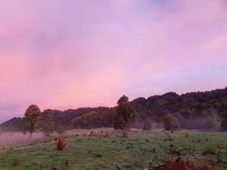 The Rimu Hut - Off-grid Luxury riverside cabin - 5