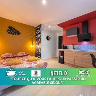LA FEUILLERAIE N1-Standingappart-Wifi-proche ville - Fontenay-le-Comte - 0