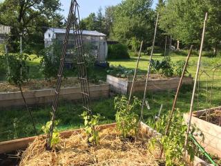 Discover Downeast Maine-Classic Comfortable Apt 2 - 1