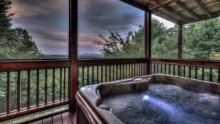 A Bear's Dream - Mineral Bluff - 8
