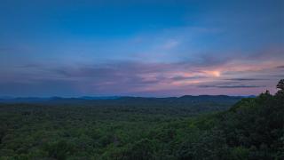 A Bear's Dream - Mineral Bluff - 6