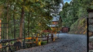 A Bear's Dream - Mineral Bluff - 5