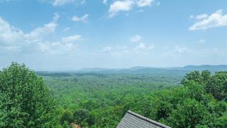 A Bear's Dream - Mineral Bluff - 3