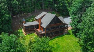 A Bear's Dream - Mineral Bluff - 1