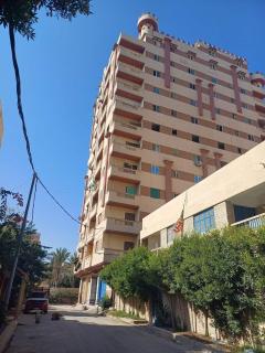 العجمى شارع الروضه الخضراء - Alessandria d'Egitto - 4