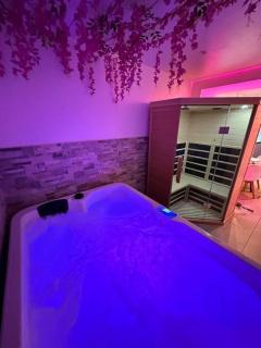 Suite 110 Jacuzzi et Sauna privatisé avec suite - 5