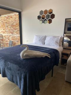 Estudio VERANTO - Playa del Carmen - 8