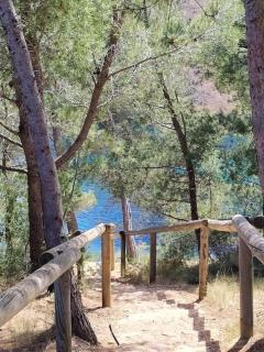 Le cabanon d'Olivier - 5