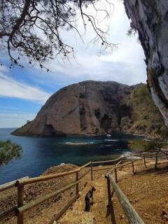 Le cabanon d'Olivier - 4