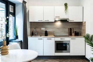 Studio with balcony and full kitchen near hotspot - 7