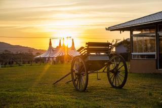 Villa Park Chalés - A sua fazendinha ao lado do Beto Carrero - 7