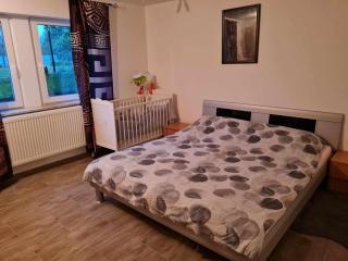 Ferienwohnung Sara - Ühlingen-Birkendorf - 5