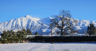 Bahara Accommodation - Springfield - 0