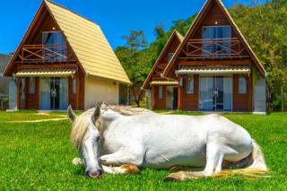 Villa Park Chalés - A sua fazendinha ao lado do Beto Carrero - 9