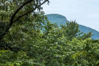 Hillside Cottage - 9