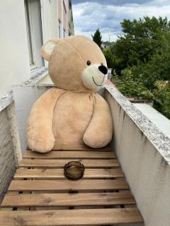 Géante Chambre Privative avec Balcon pour Groupe - Castres - 8