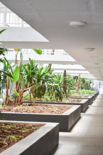 Millennial amplify comfort, 5 min walk to gateway, next to CCI and saunders park, free parking - Durban - 2