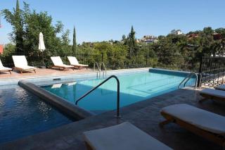 Melancholy Hill Sprawling Views of Endless Summer - San Miguel de Allende - 9