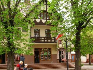 Biały na poddaszu - 9