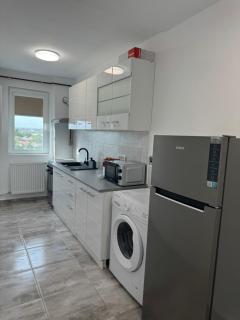 Dinu Rent Apartments - Giurgiu - 4