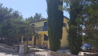 Apartments with parking spaces Vir - Torovi - Vir - Pedinka, Vir - 22373 - Vir - 4