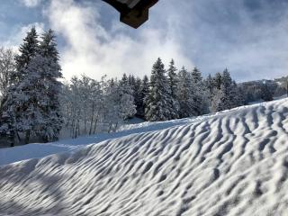 Superbe 3 pièces avec parking, wifi, proche pistes et commerces - FR-1-356-506 - Valmorel - 5