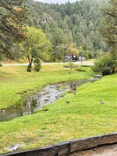 Cottages at Canyon Creek #2 - Ruidoso - 8