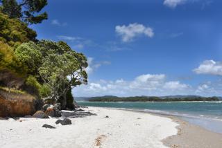 Whangapoua waves - Whangapoua - 9
